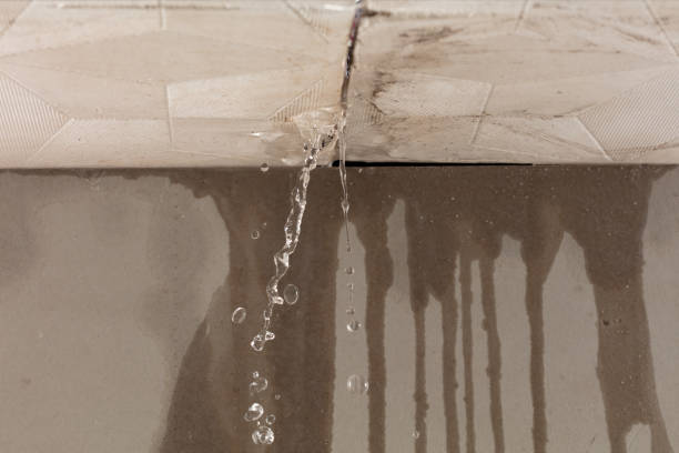 Professional Water Damage Repair technician working in Sutherland Springs, TX